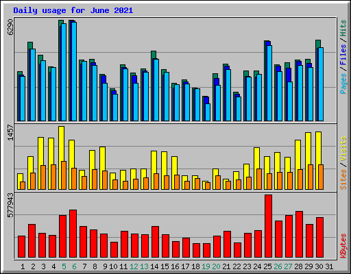 Daily usage for June 2021