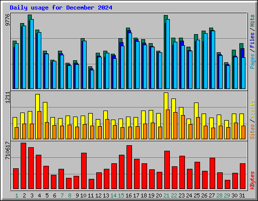 Daily usage for December 2024