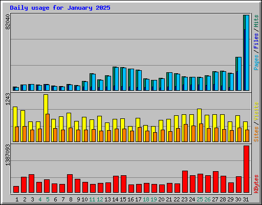 Daily usage for January 2025