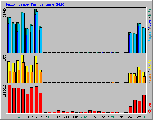 Daily usage for January 2026