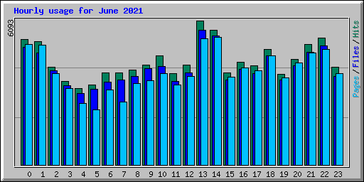 Hourly usage for June 2021