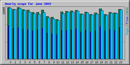 Hourly usage for June 2022