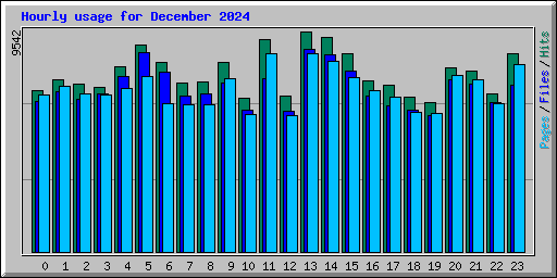 Hourly usage for December 2024