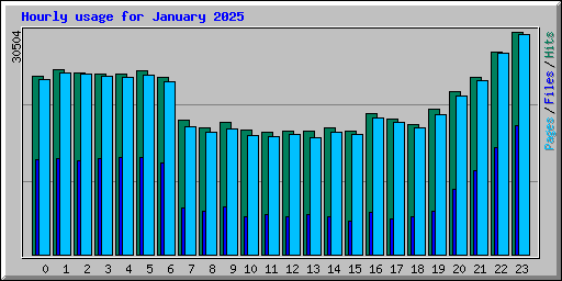 Hourly usage for January 2025