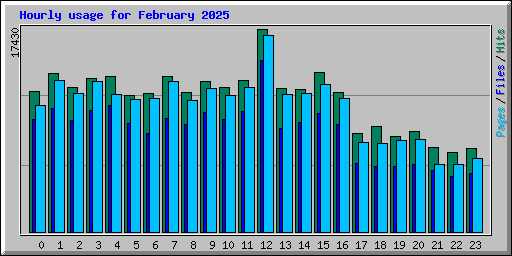 Hourly usage for February 2025