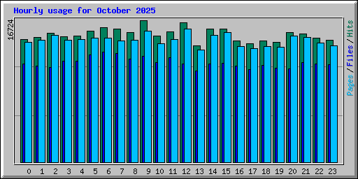 Hourly usage for October 2025