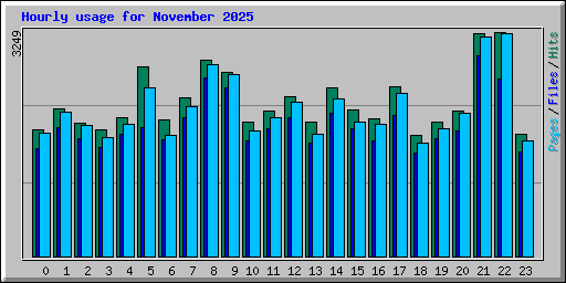 Hourly usage for November 2025